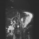 Cyst of pancreas, pancreatic cyst: MRI - Magnetic Resonance Imaging
